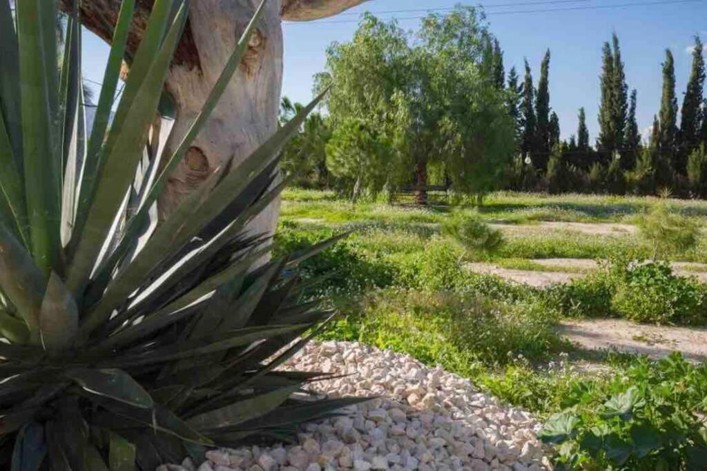 Villa Fina Murcie Extérieur photo